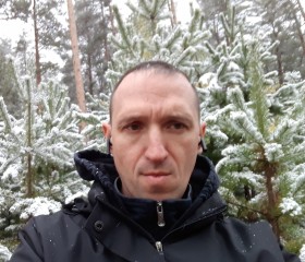 Василий Сеськин, 40 лет, Бийск