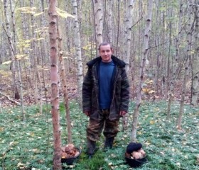 Анатолий, 36 лет, Саранск