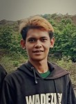 Alex, 23 года, Kota Makassar