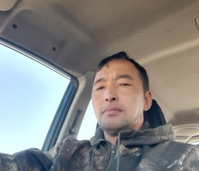 Берик, 43 года, Алматы
