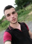 Алехандро, 27 лет, Белгород