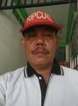 Ardian sah, 47 лет, Djakarta