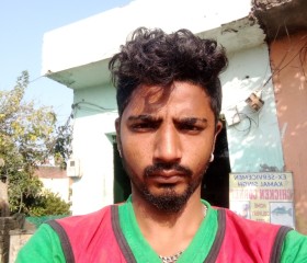 Sajan Dholi, 35 лет, Jalandhar