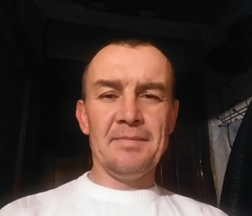 Денис, 45 лет, Алматы