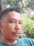 Adi gen, 41 год, Kota Medan