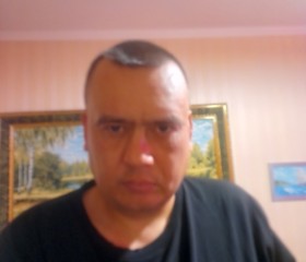 Evgeniy, 42, Aleksin