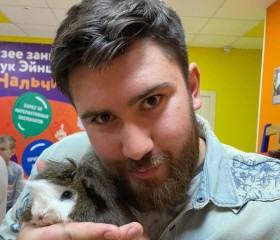 Артур, 29 лет, Москва