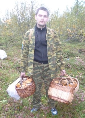 Алексей, 31, Россия, Никель