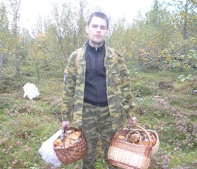 Алексей, 31 год, Никель