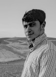 Furkan, 20 лет, Elâzığ