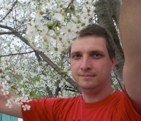 Дмитрий, 41 год, Клинцы