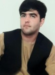 Farshid, 32 года, کابل