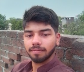 Shahbaz, 21 год, اسلام آباد