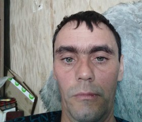 Иван, 41 год, Талица