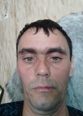Иван, 41, Россия, Талица