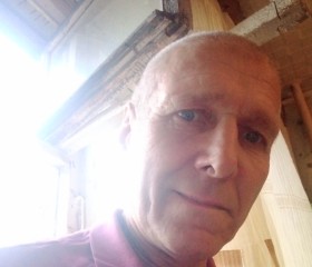 Misha, 58, Borovichi