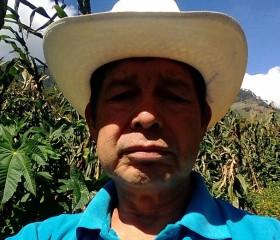 Luis, 60 лет, Puebla de Zaragoza