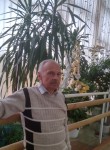 Тагир, 65 лет, Кострома