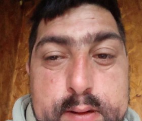 Zoran, 38, Trstenik