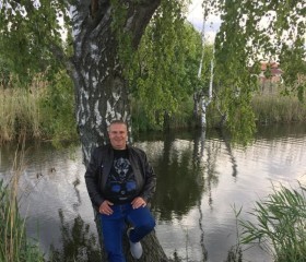 Дмитрий, 52 года, Железнодорожный (Московская обл.)