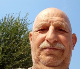 Pavel Elamkov, 67 лет, Запоріжжя