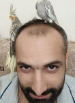 Gev, 33  , Yerevan