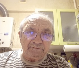 Евгений Белкин, 77 лет, Старая Русса