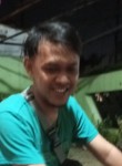 gazaru, 39 лет, Kota Purwokerto