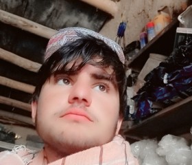نقیب, 21, Herat