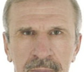 Oleg, 60, Moscow