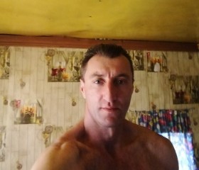 Сергей Лещенко, 44 года, Нікополь