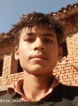 Aniketpatel, 19 лет, Indore