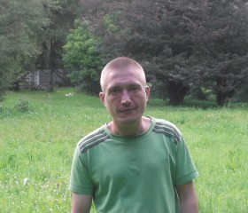 Александр, 42 года, Віцебск