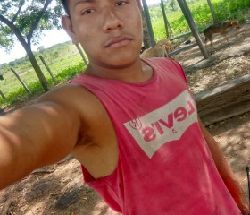 Nerio, 22, Fredericton
