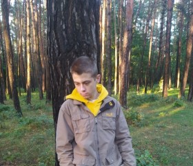 Олександр, 21 год, Шепетівка