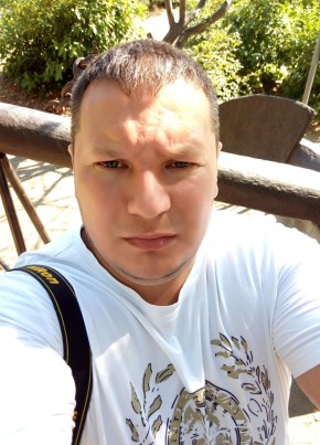 Артем Олефиренко, 39, Россия, Погар