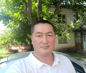 Алмамат Саражиев, 51 год, Бишкек