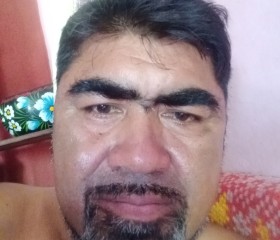 Luis, 50 лет, Santo Domingo Tehuantepec