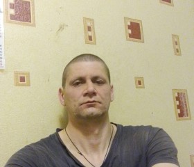 Константин, 42 года, Псков