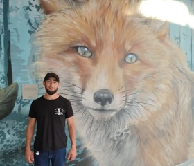 Samir, 31, Nykobing Sjaelland