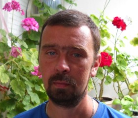 Олег, 43 года, Брянск