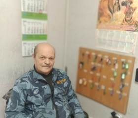 Борис, 65 лет, Саратов