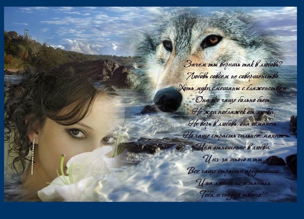 Волк поговори. Волчица и девушка. Девушка с волком. Одинокая волчица. Женщина волк одиночка.