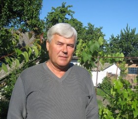 Алекс, 68 лет, Электросталь