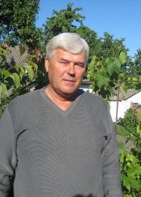 Алекс, 68, Россия, Электросталь