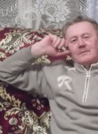 Николай Ильин, 63 года, Череповец