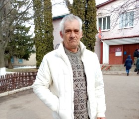 Владимир , 65 лет, Ливны