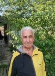 Евгений, 78 лет, Нижний Новгород