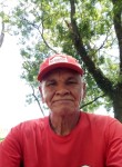 adaoluisdasilva, 62 года, Porto Alegre