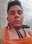 Michael, 29 лет, México Distrito Federal